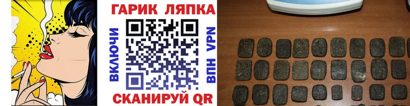 ГАШ Изолятор Краснослободск
