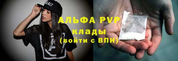 ПСИЛОЦИБИНОВЫЕ ГРИБЫ Аркадак