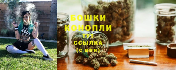 ПСИЛОЦИБИНОВЫЕ ГРИБЫ Аркадак