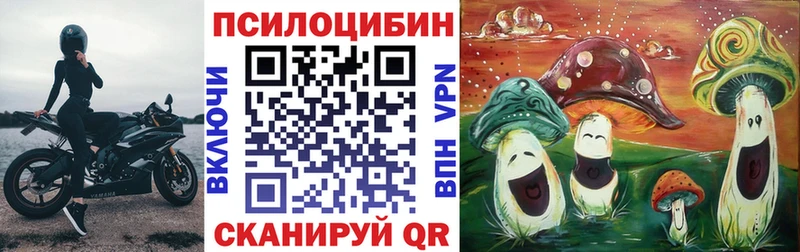 KRAKEN ТОР  Краснослободск  Псилоцибиновые грибы Cubensis  закладки 